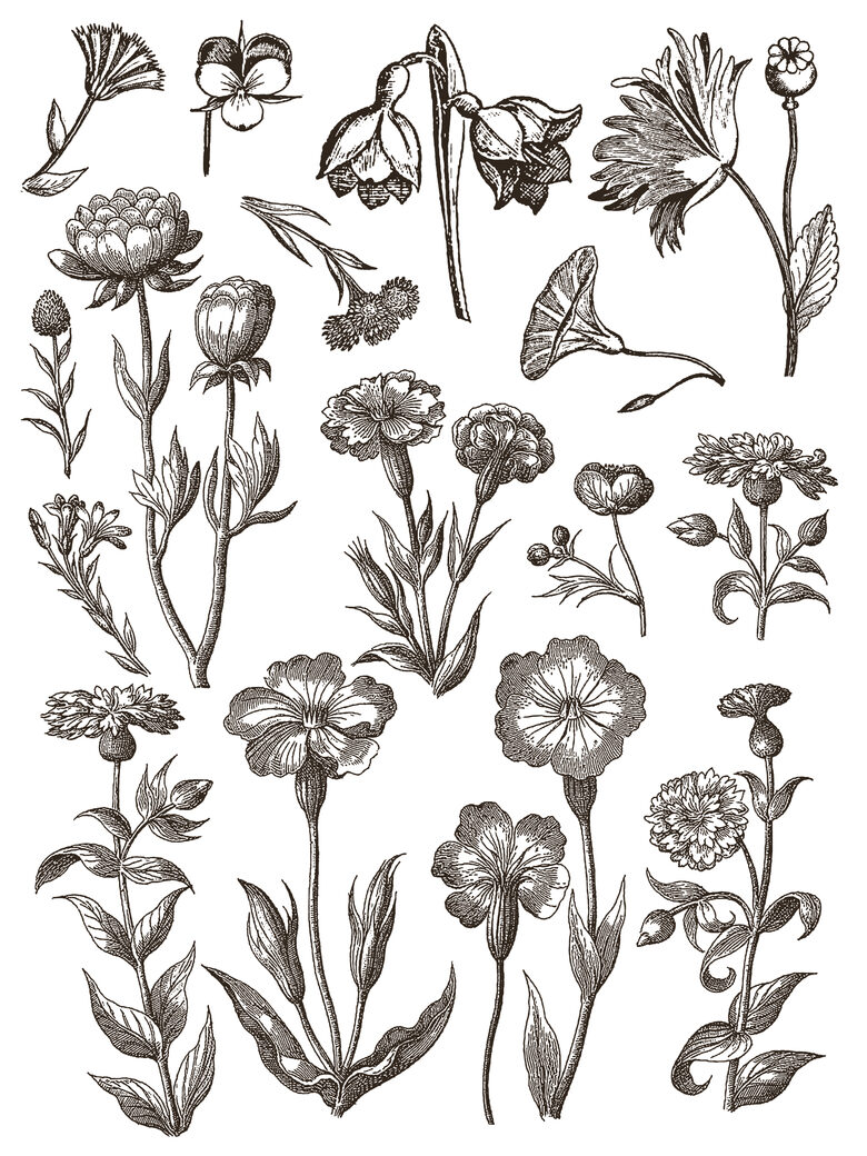 FLORIOGRAPHY